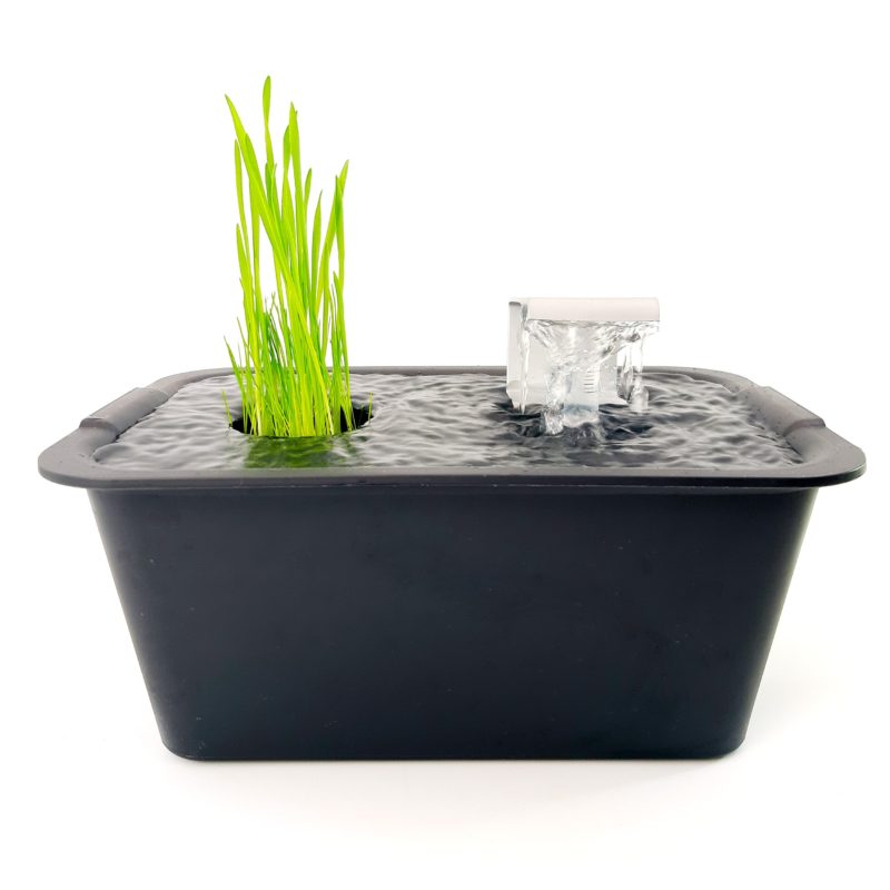 "Black" Bebedero (negro)